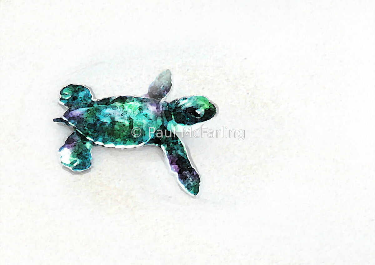 Green Sea Turtle Hatchling Scurrying Down the Beach — artwork by Paul McFarling